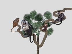 Коллекция ZOO 21