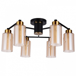Накладная люстра Arte Lamp A7027PL-6BK