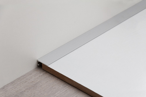 Антиплинтус алюминиевый Апл 01.2700.001. Без покрытия 16х6,1х2700мм