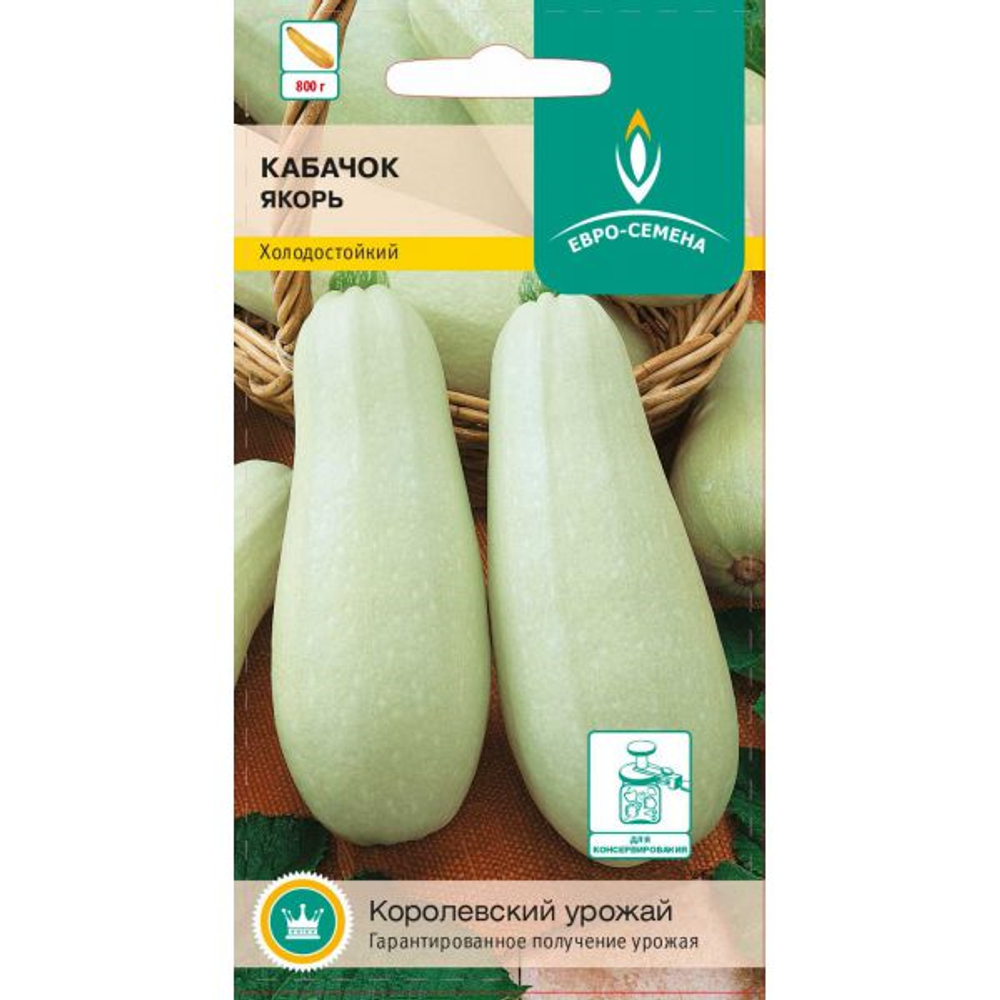 Кабачок Якорь белоплодный Ц ЕС