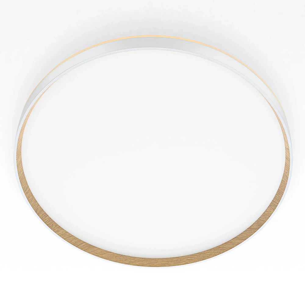 Citilux ETALON CL750500R LED RGB Светильник с пультом Белый+Бук