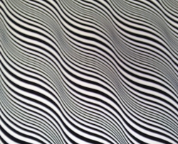 Микровелюр Xpoint 0072.01 Зебра