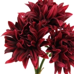 Цветы искусственные «Natur» 34см Хризантемы 3шт бордовые