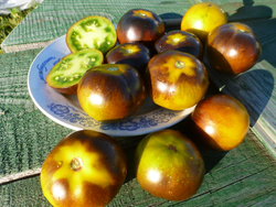 Помидоры - Blue Green Zebra - Сине-зелёная Зебра