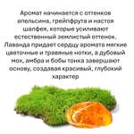 Мох и янтарь, кубики восковые для ароматизации, 10 штук