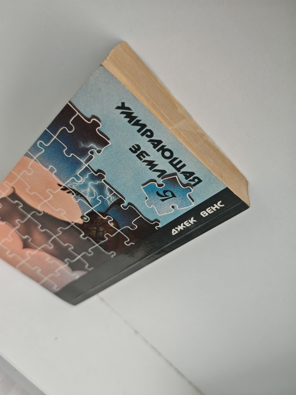 Китайский агент. Умирающая земля