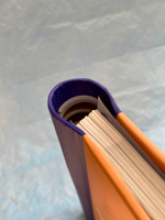 Фотоальбом семейный на 20 магнитных листов 23х28 см, SPb city art: orange