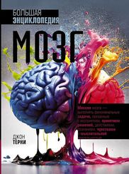 Мозг. Большая энциклопедия