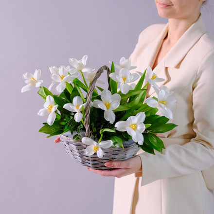 Композиция с белыми тюльпанами #200