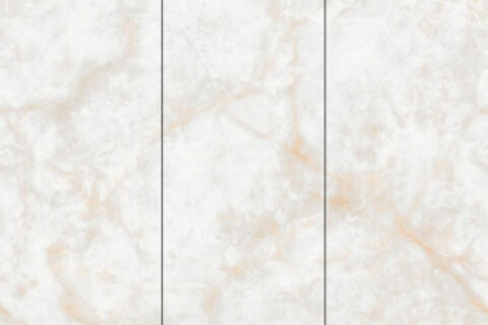 Керамогранит ATLAS WIDE Li Susu Dragon (NTT3019P (A))