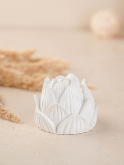 Набор Ганеша и бутон ля благовоний