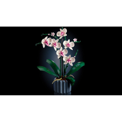 LEGO Botanicals - Орхидея 10311