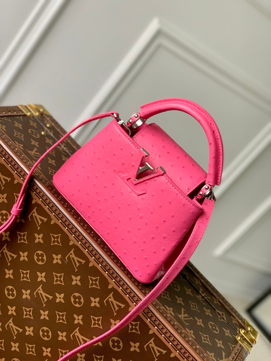 Louis Vuitton Capucines Mini