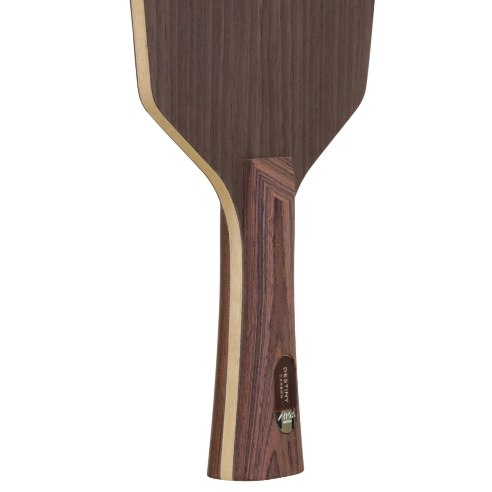 STIGA Destiny Carbon Cybershape