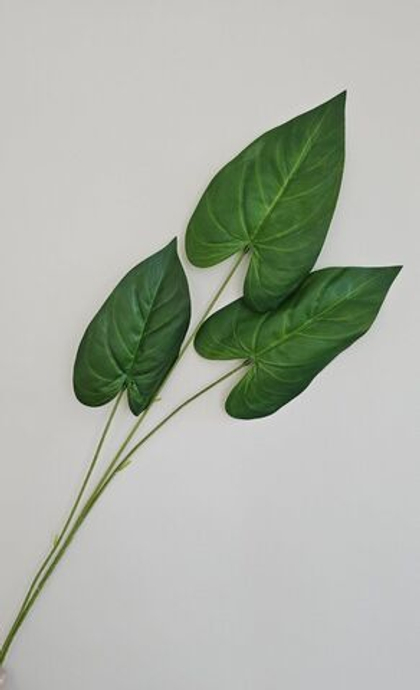 Листья Антуриум / Арт 6347