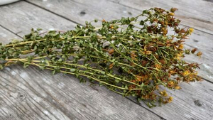 Зверобоя трава, 50 гр, Рецепты Гордеева