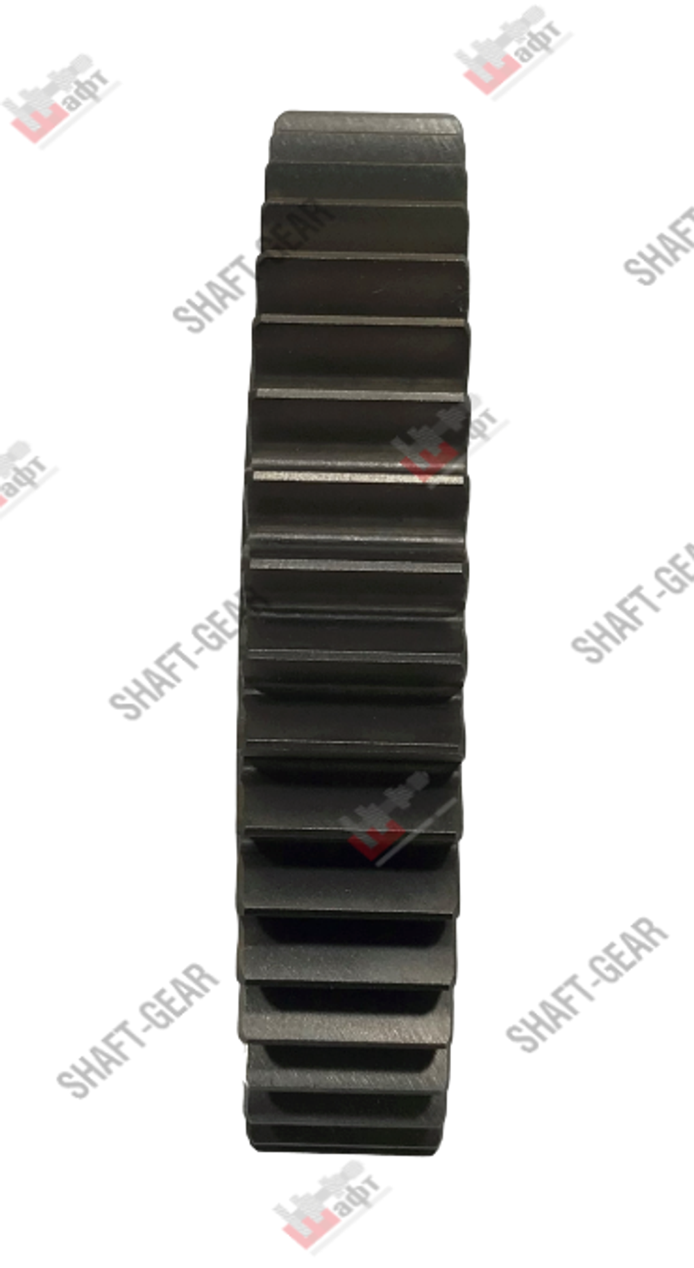 6DS180T-1701113 - Шестерня 3 передачи вторичного вала на КПП