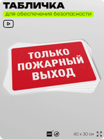 Табличка для обеспечения безопасности "Только пожарный выход", для офиса, по охране труда для предприятия, организаций, 40х30 см, Silver Plane x Айдентика Технолоджи