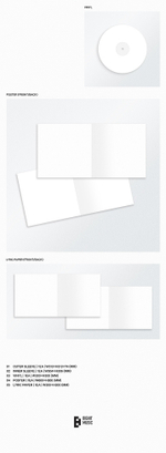 Винил BTS - ARIRANG (Standard Vinyl)