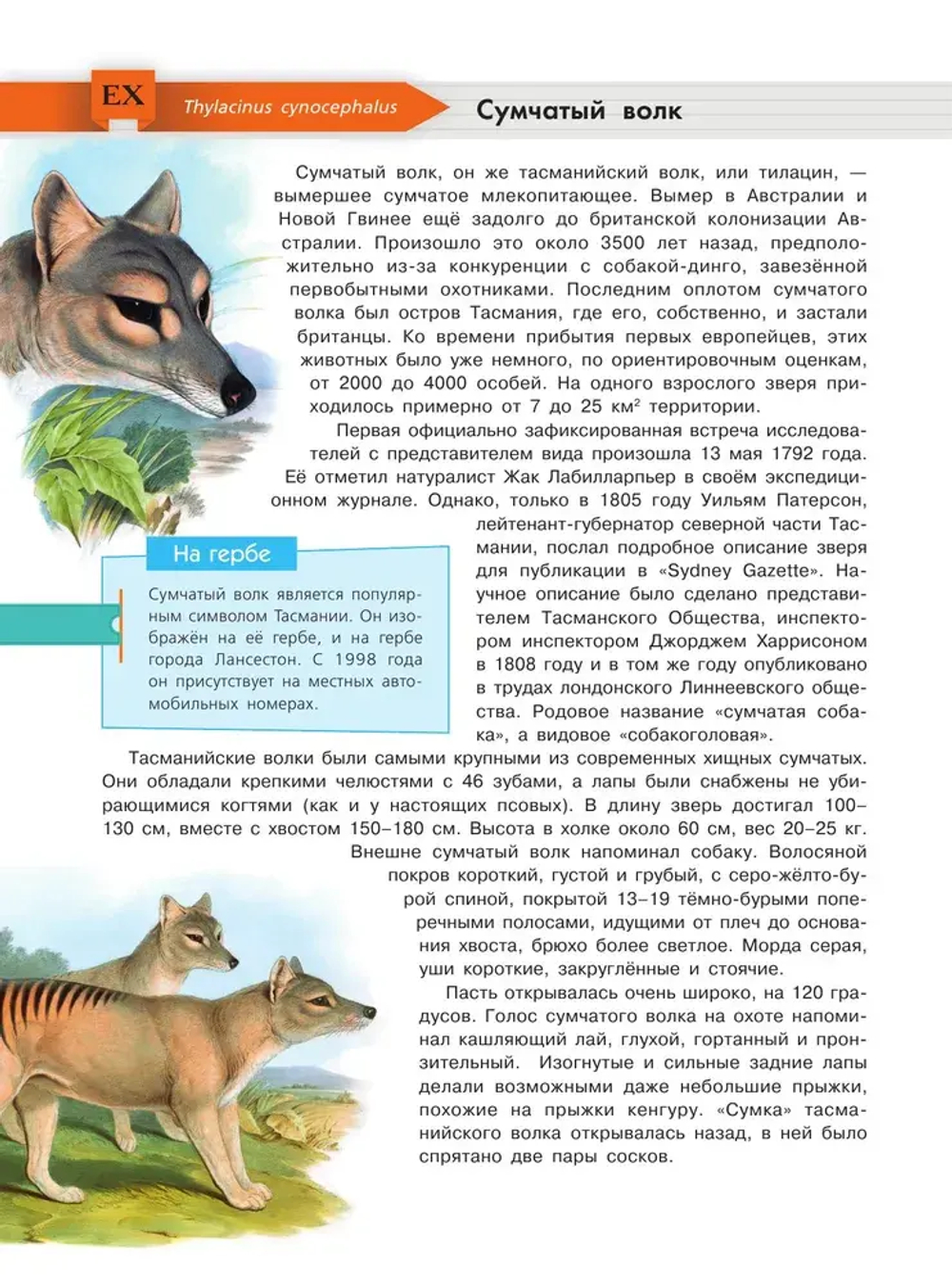 Красная книга мира. Черные и белые страницы