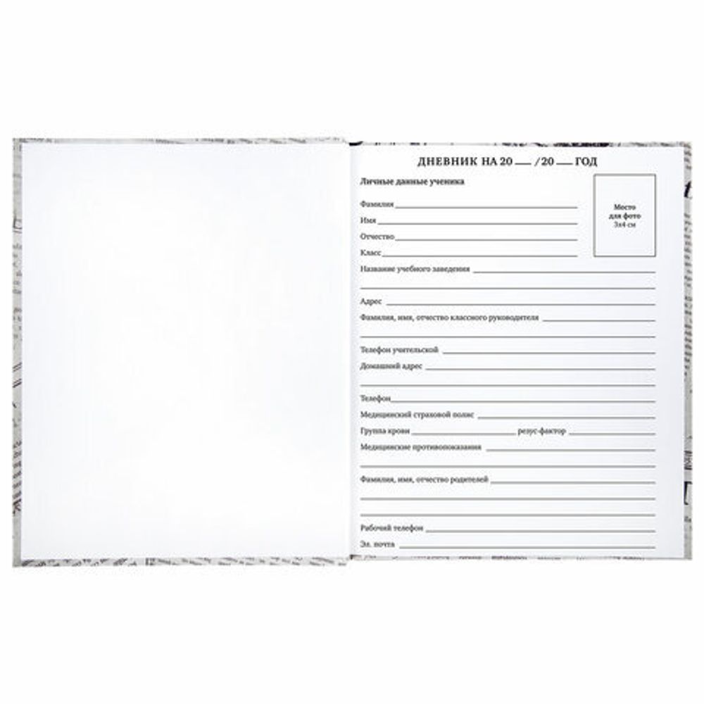 Дневник 1-11 класс 40 л., твердый, BRAUBERG, глянцевая ламинация, "Кеды", 106375