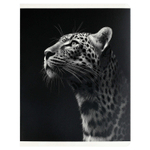 Тетрадь, 48 л, клетка, МОНОХРОМНЫЙ ЛЕОПАРД А5