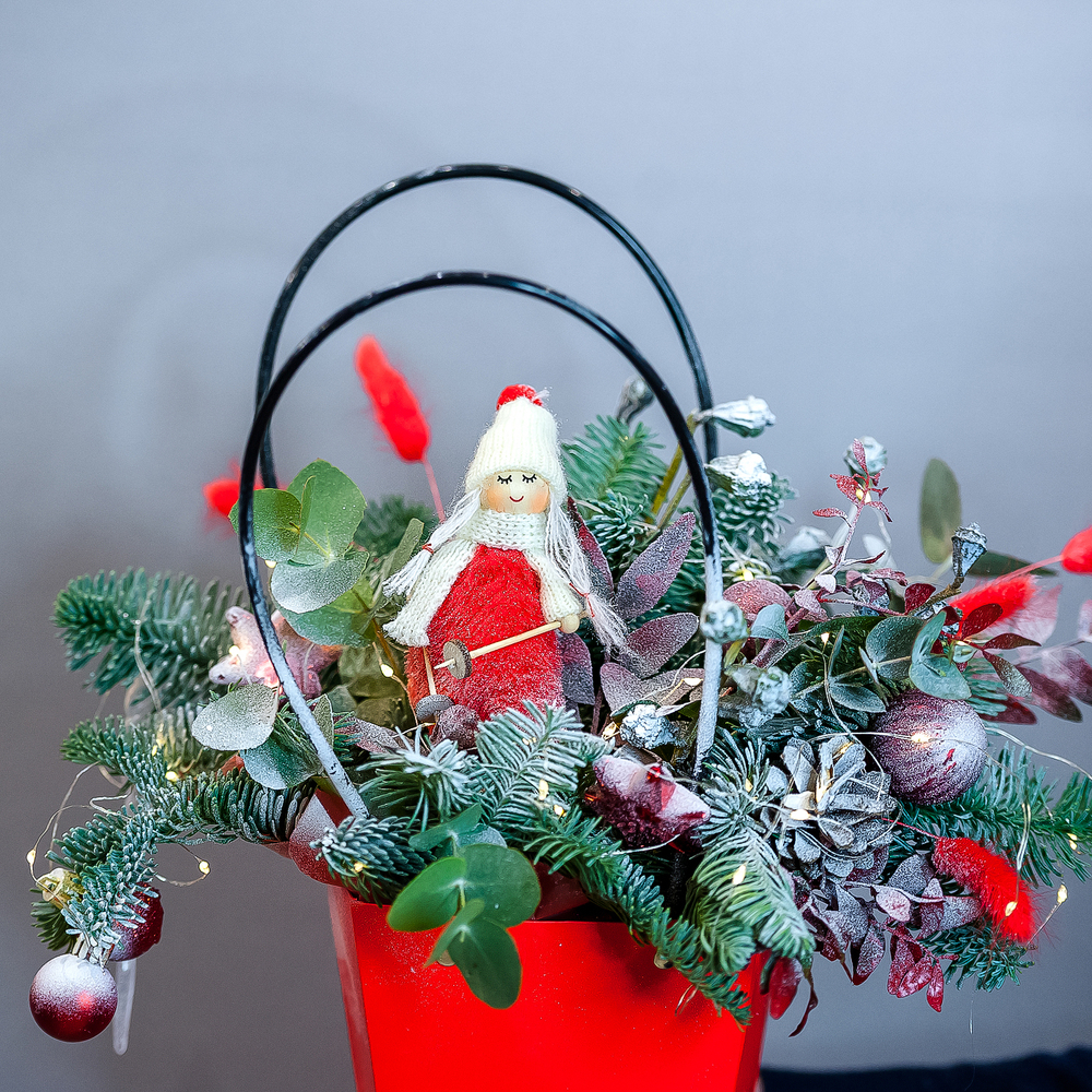 Нобилис в красной сумке с эвкалиптом