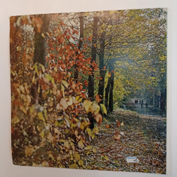 Винтажная виниловая пластинка LP Сборник Наш Край Белоруский 2LP (СССР) (Песняры, Сября, Чаровницы, Государственный Народный Хор БССР)
