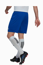 Шорты adidas Entrada 22
