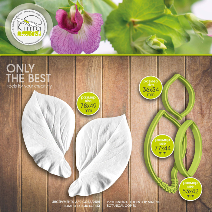 Душистый горошек лист большой