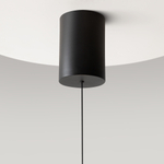 Подвесной светильник Maytoni MOD189PL-L30B3K