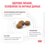 Royal Canin GASTROINTESTINAL SMALL DOG LOW FAT Гастроинтестинал Лоу Фэт смол дог Корм сухой для взрослых собак мелких пород при нарушениях ЖКТ 3кг