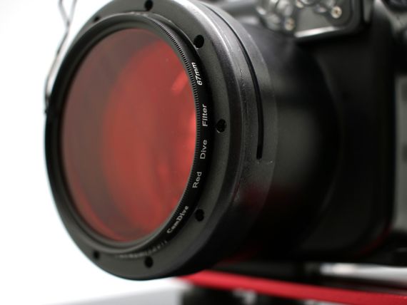 Красный светофильтр Sea Frogs 67 мм для подводной фотосъемки