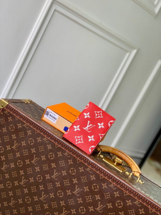 Louis Vuitton Passport Cover
