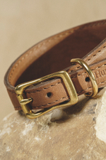 Ошейник "Пони-Селедка" Коричневый