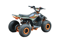 Квадроцикл WELS Tukah 110