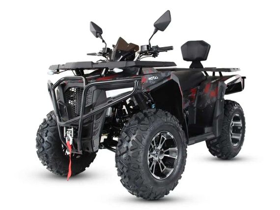 Квадроцикл MOTAX Grizlik 300