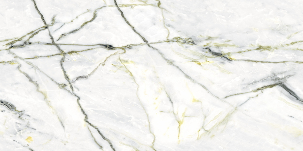 Neodom Sale Calacatta Green Polished 60x120