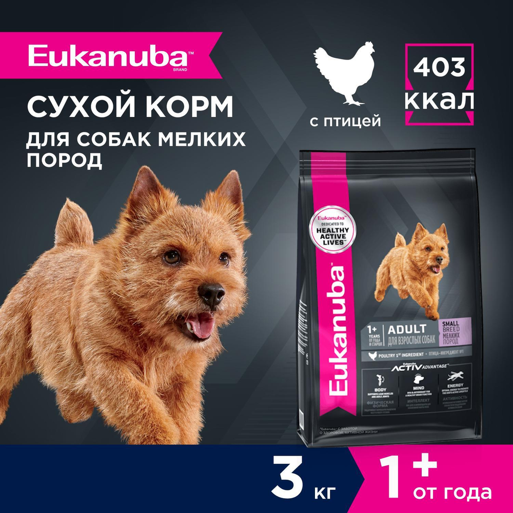 Сухой корм Eukanuba Adult Small Breed 1+ years для взрослых собак мелких пород с курицей 3 кг