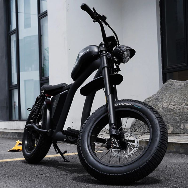 Электровелосипед Mangosteen FT-02 EEC 60V1000W30A