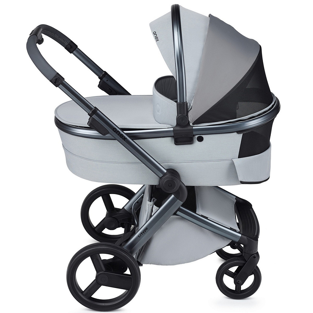 Детская коляска Anex l/type 2 в 1 с аксессуарами frost