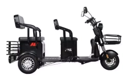 Трицикл WHITE SIBERIA SIBTRIKE R 2000W