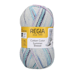 Пряжа Regia Cotton Color (02476/Ветренный день), 72% хлопок, 18% полиамид, 10% полиэстер, 100г/420м