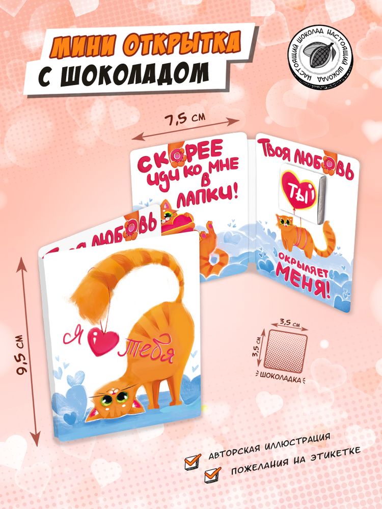 Мини открытка, Я ЛЮБЛЮ ТЕБЯ. РЫЖИЙ КОТ, молочный шоколад, 5 г, TM Chokocat