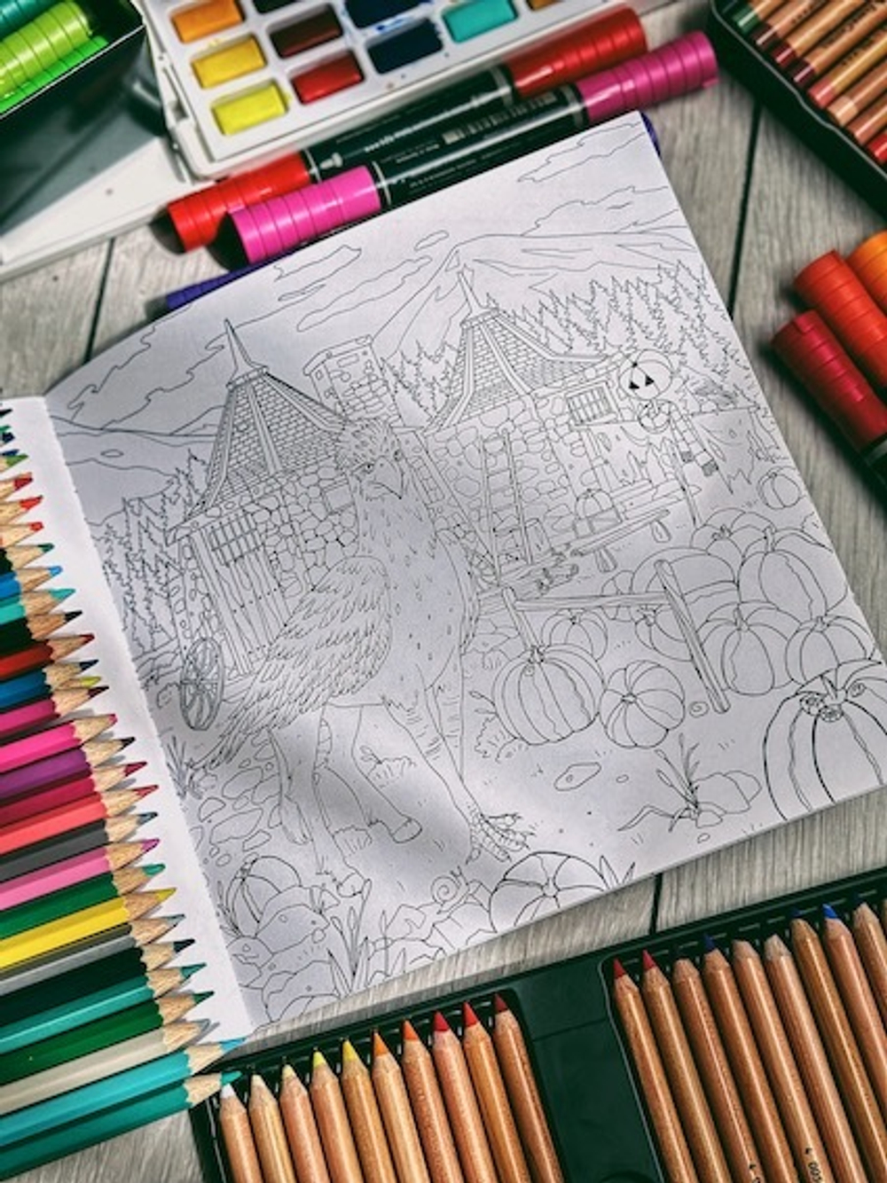 Раскраска-путешествие по книжным мирам