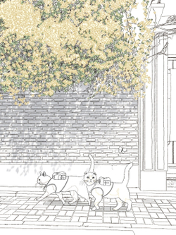 Two cats and a walk, Four Seasons Coloring book