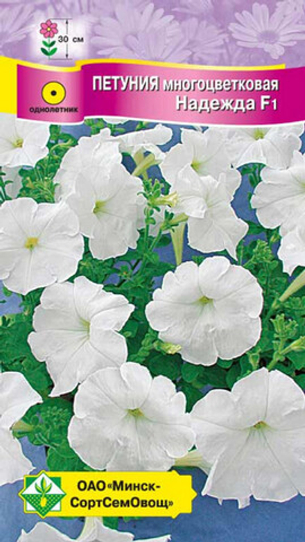 Петуния многоцветковая "Надежда F1" 10шт, Чехия.
