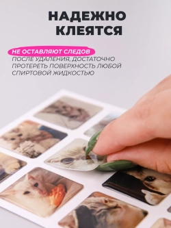 3д стикеры на телефон чехол ноутбук котики мем