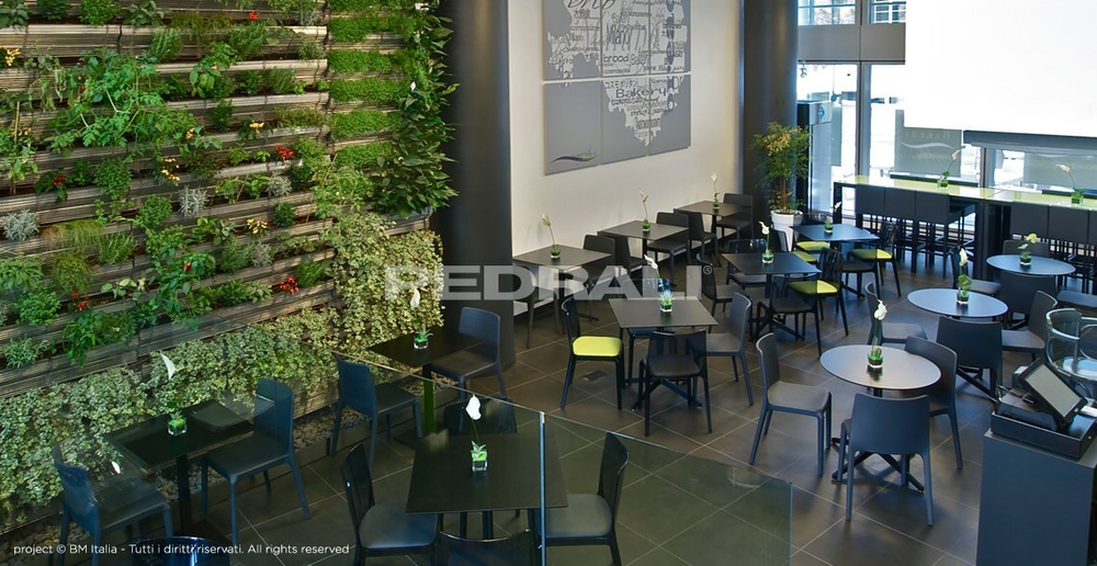 Стул пластиковый Pedrali Blitz, серый