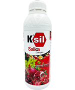 Ksil Salica Komplex 1л